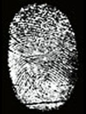 fingerprint